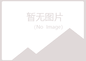 庆元县白山会计有限公司